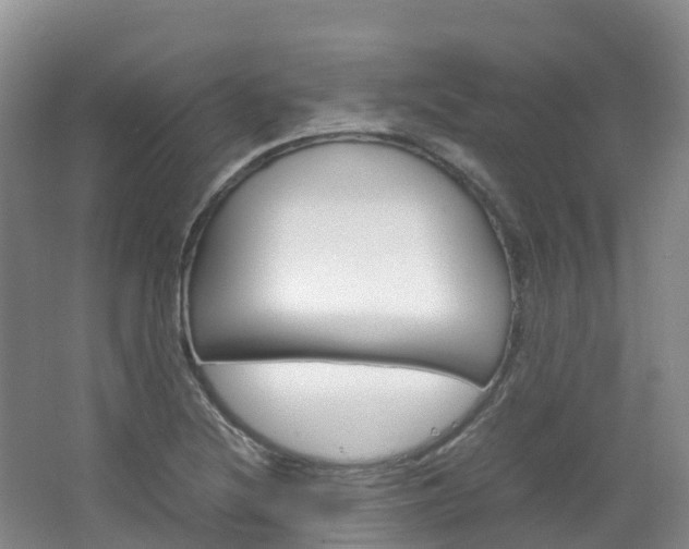 X0000066941220200603240926