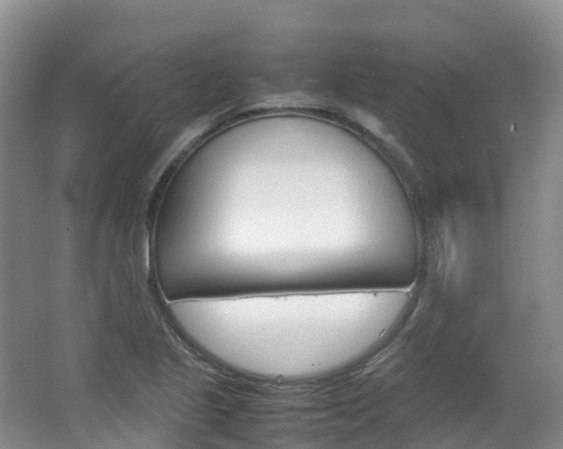 X0000066941221200603240926