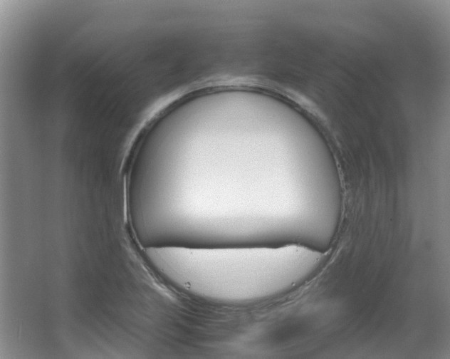 X0000066941223200603240926