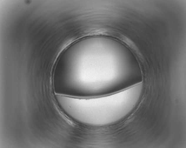 X0000066941234200603240926