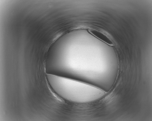 X0000066941241200603240926