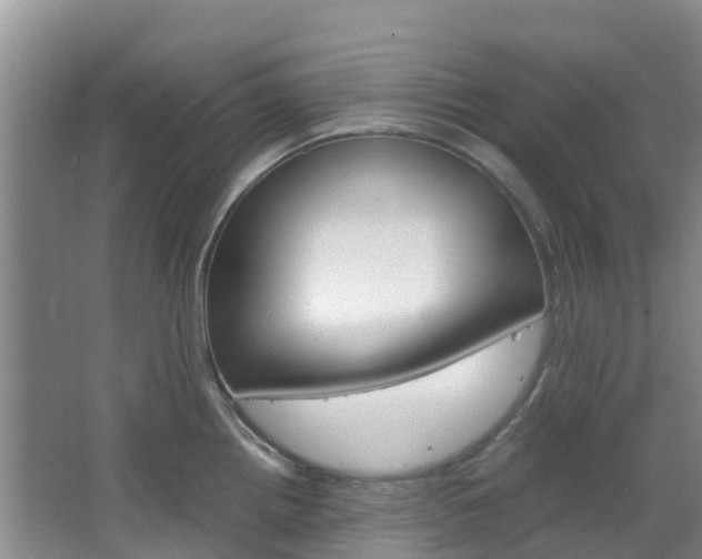 X0000066941242200603240926