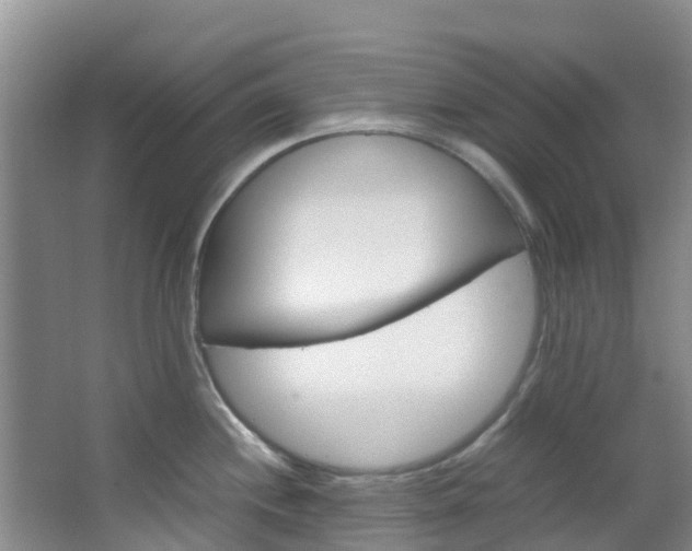 X0000066941244200603240926