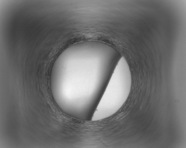 X0000066941249200603240925