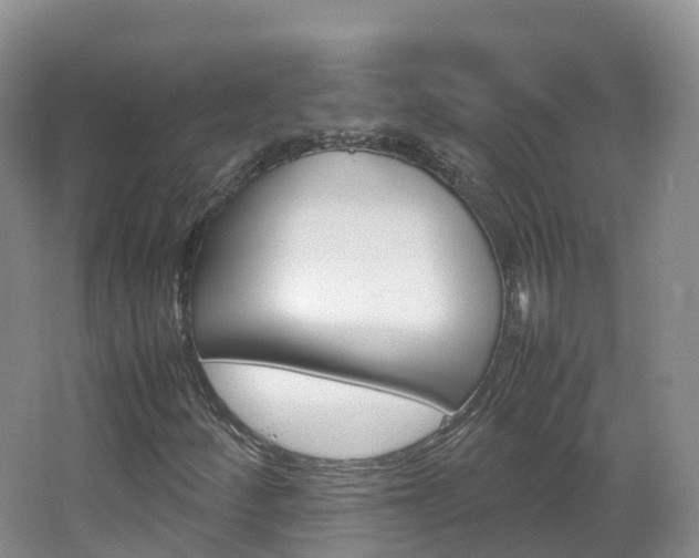 X0000066941252200603240925
