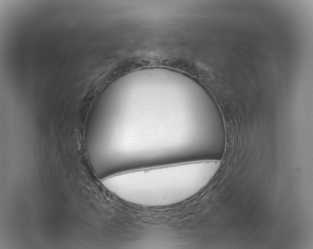 X0000066941253200603240925