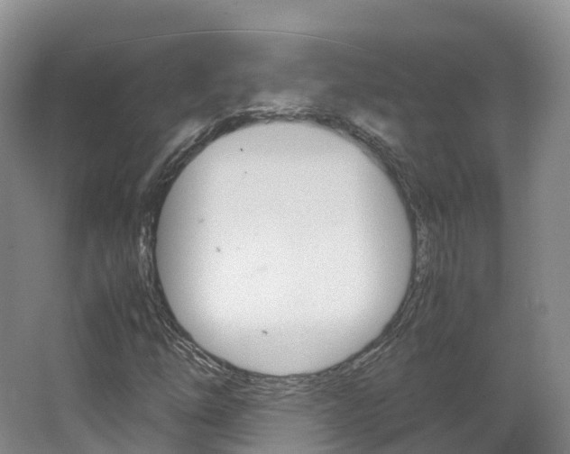 X0000066941254200603240925