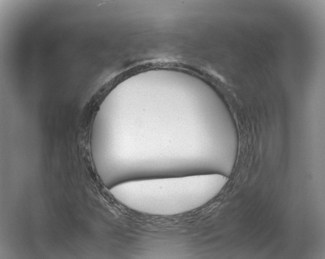 X0000066941255200603240925