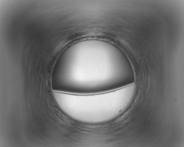 X0000066941257200603240925