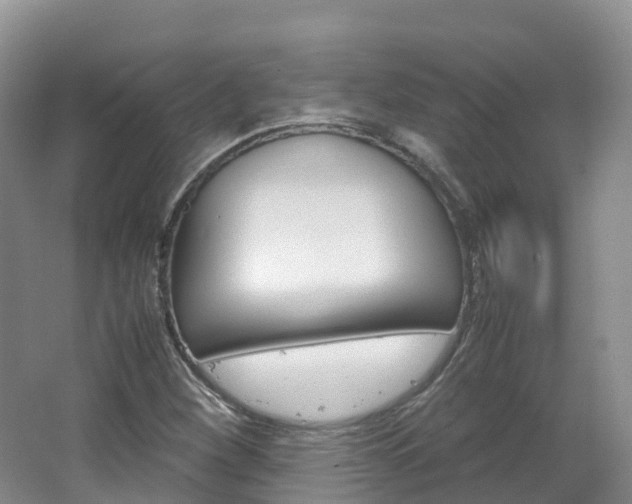 X0000066941260200603240925