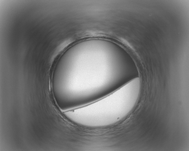 X0000066941269200603240925