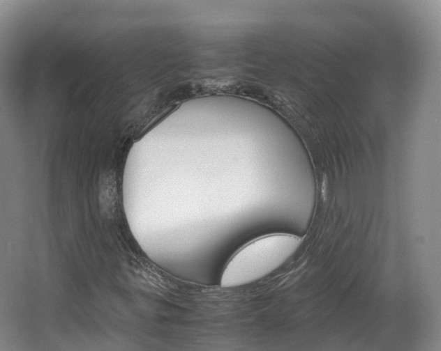 X0000066941299200603240924