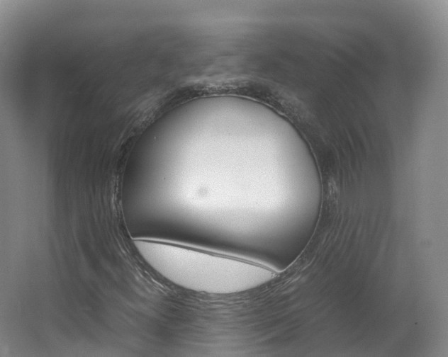 X0000066941300200603240924