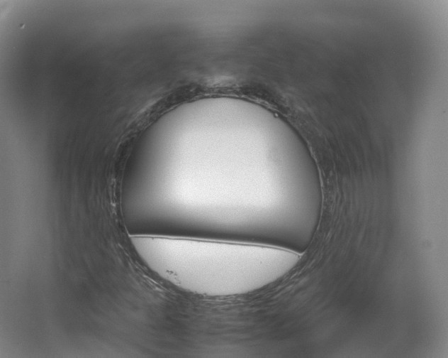 X0000066941301200603240924