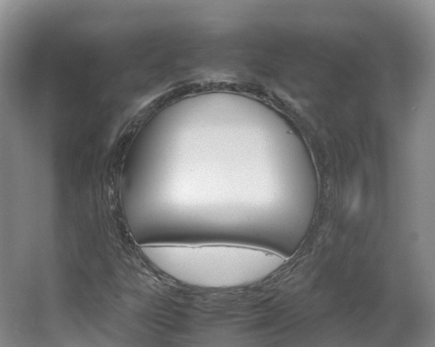 X0000066941303200603240924