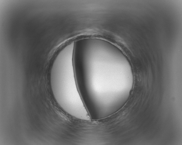 X0000066941304200603240924