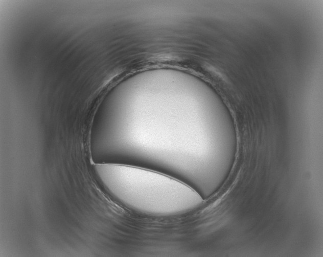 X0000066941305200603240924