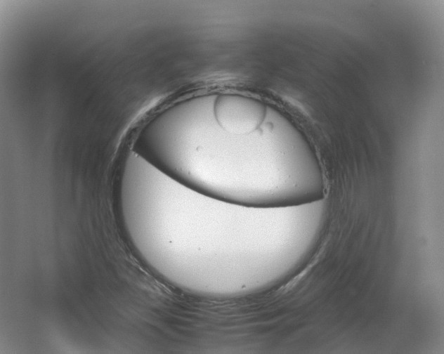 X0000066941309200603240924
