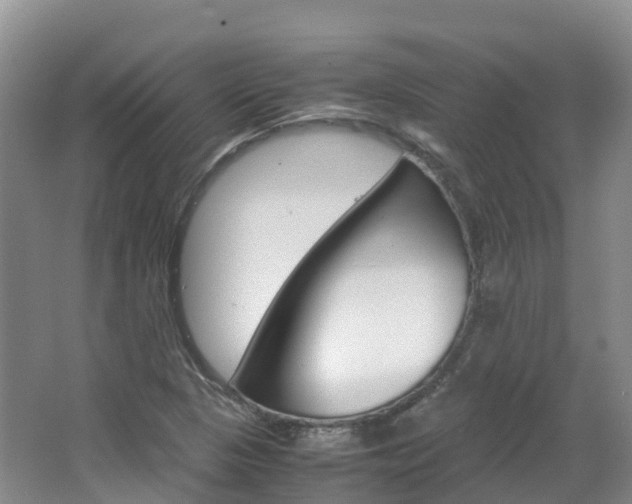 X0000066941313200603240924