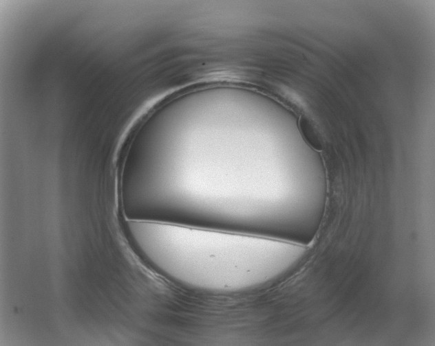 X0000066941323200603240924