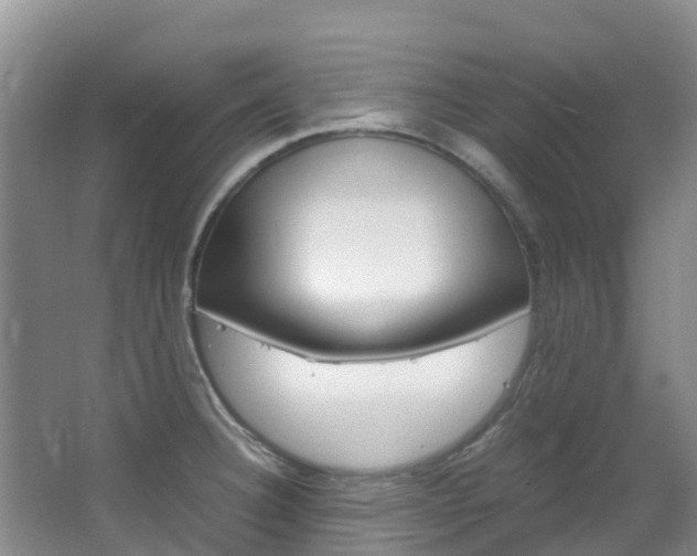 X0000066941332200603240924