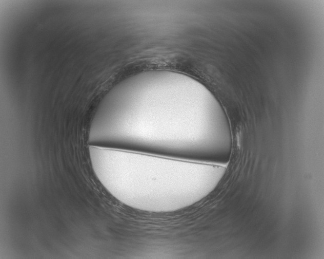 X0000066941347200603240924