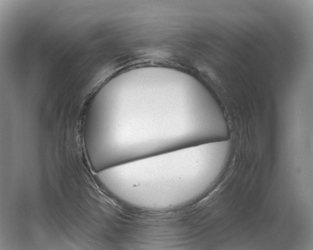 X0000066941354200603240924