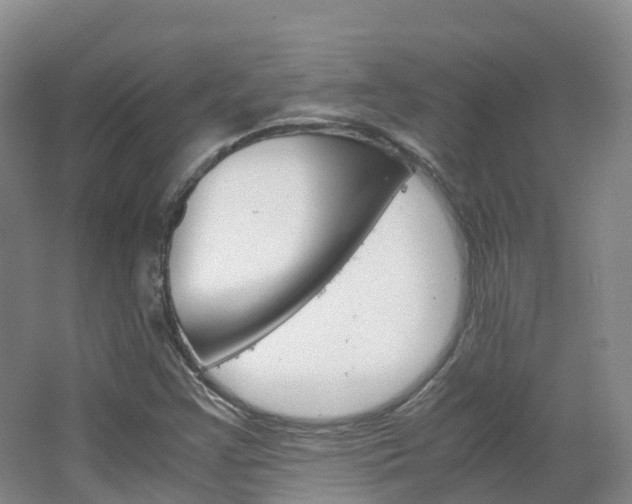 X0000066941355200603240924