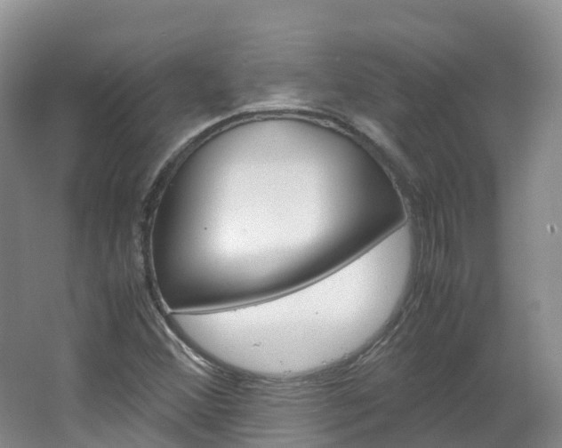 X0000066941356200603240924