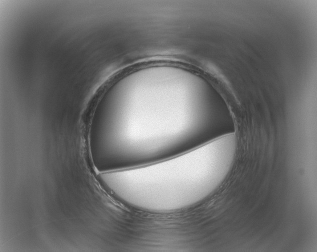 X0000066941360200603240924
