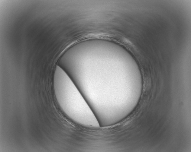 X0000066941361200603240924