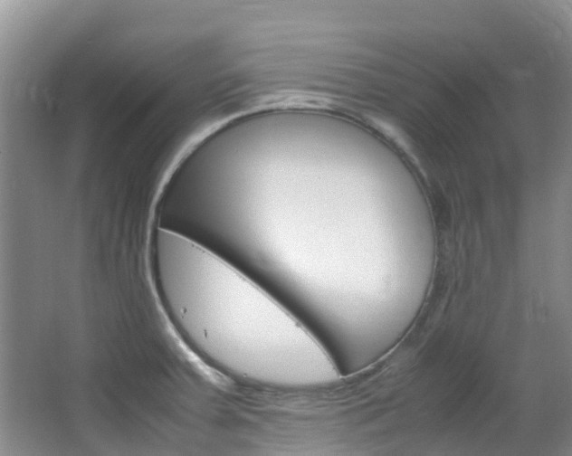 X0000066941379200603240923