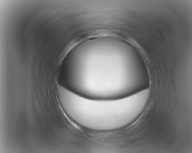 X0000066941385200603240923
