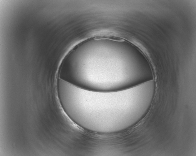 X0000066941392200603240923