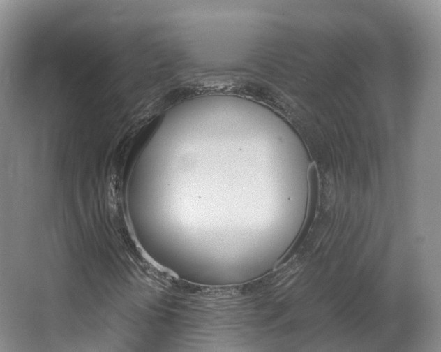 X0000066941394200603240922