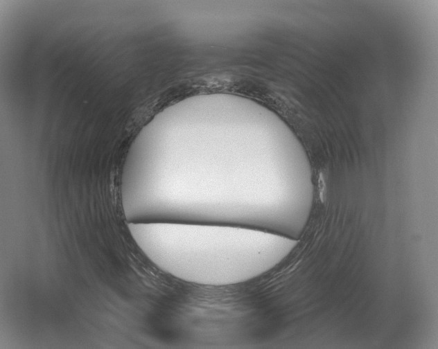X0000066941395200603240922