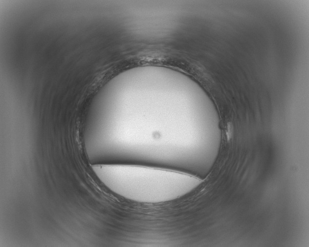 X0000066941396200603240922