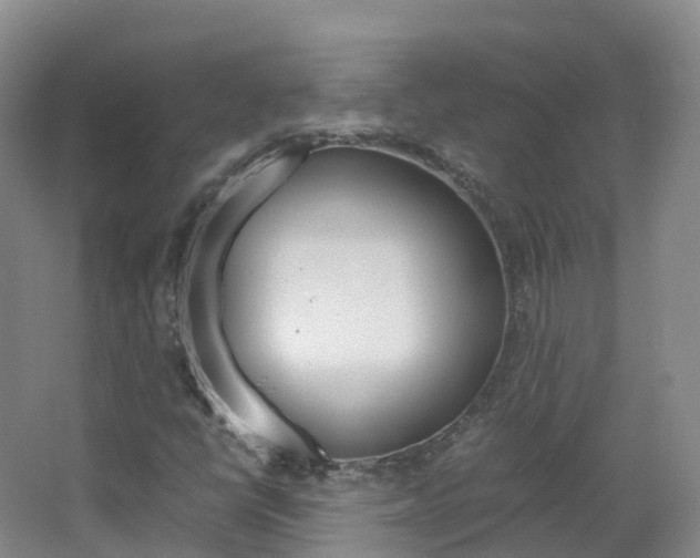 X0000066941398200603240922