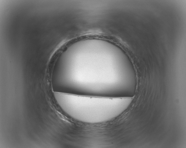 X0000066941400200603240922