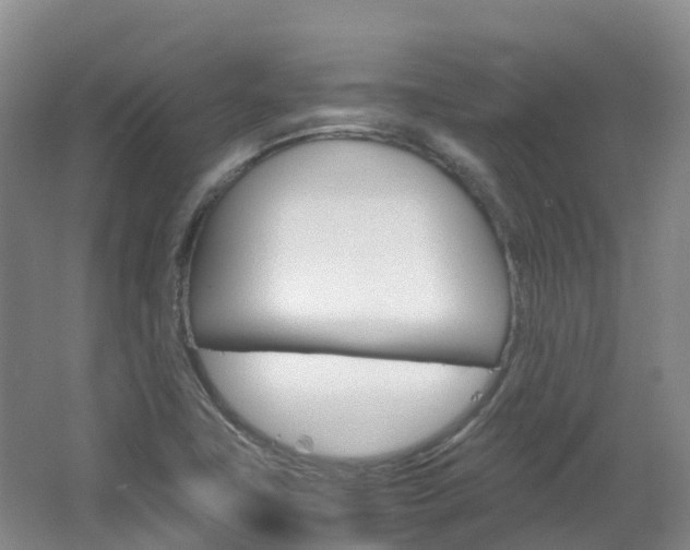 X0000066941411200603240923