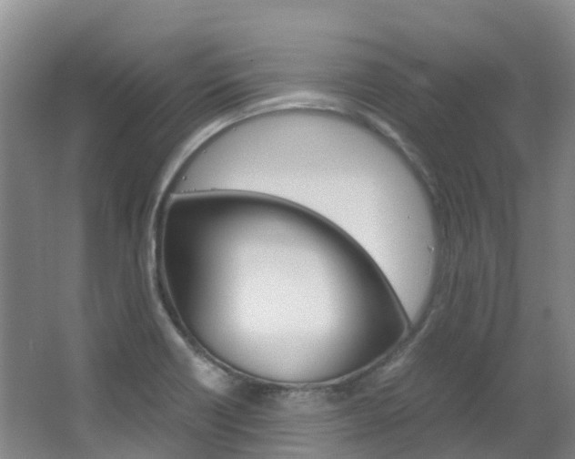 X0000066941418200603240923