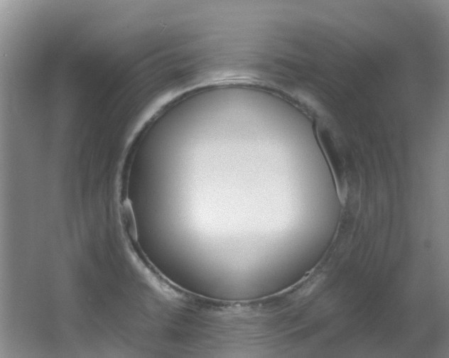 X0000066941422200603240923