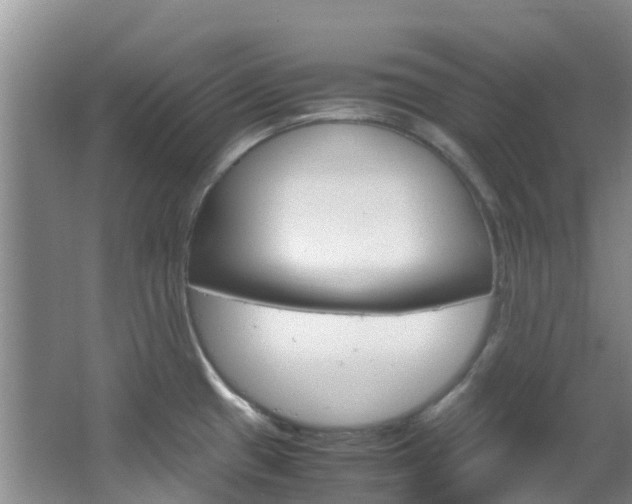 X0000066941433200603240923
