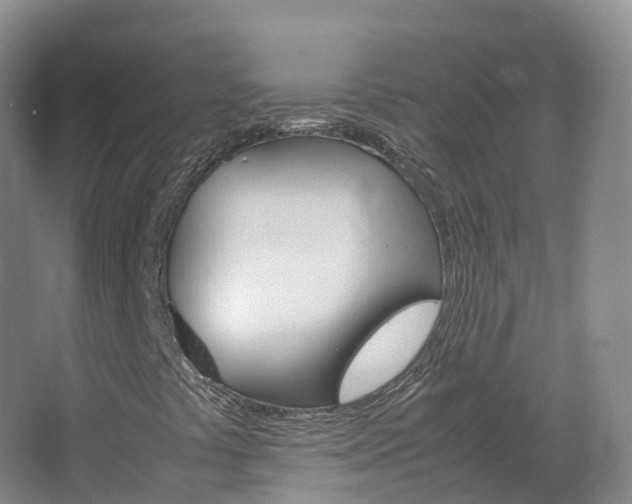 X0000066941441200603240922