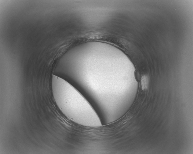 X0000066941444200603240922