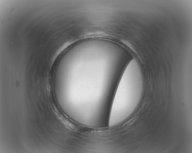 X0000066941458200603240922