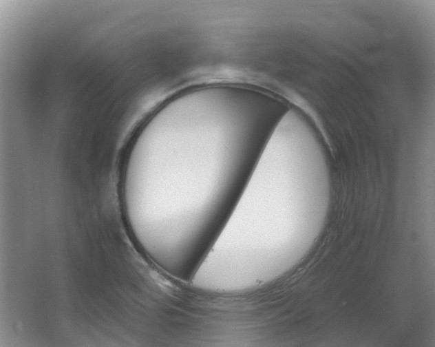 X0000066941464200603240922