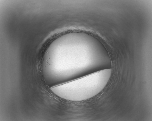 X0000066941495200603240921