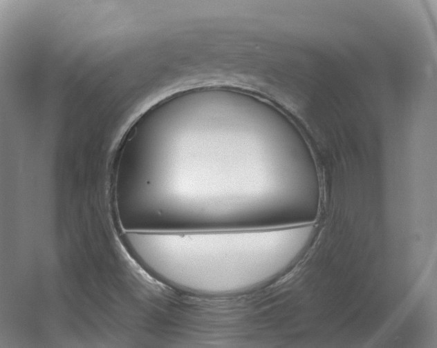 X0000066941500200603240921
