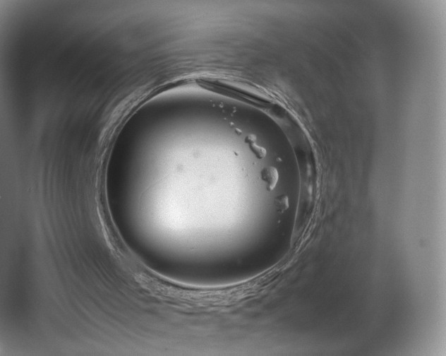 X0000066940001200603241154